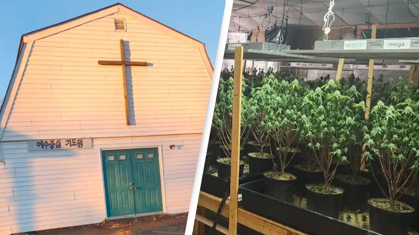 Police uncover massive marijuana grow operation inside booby-trapped church