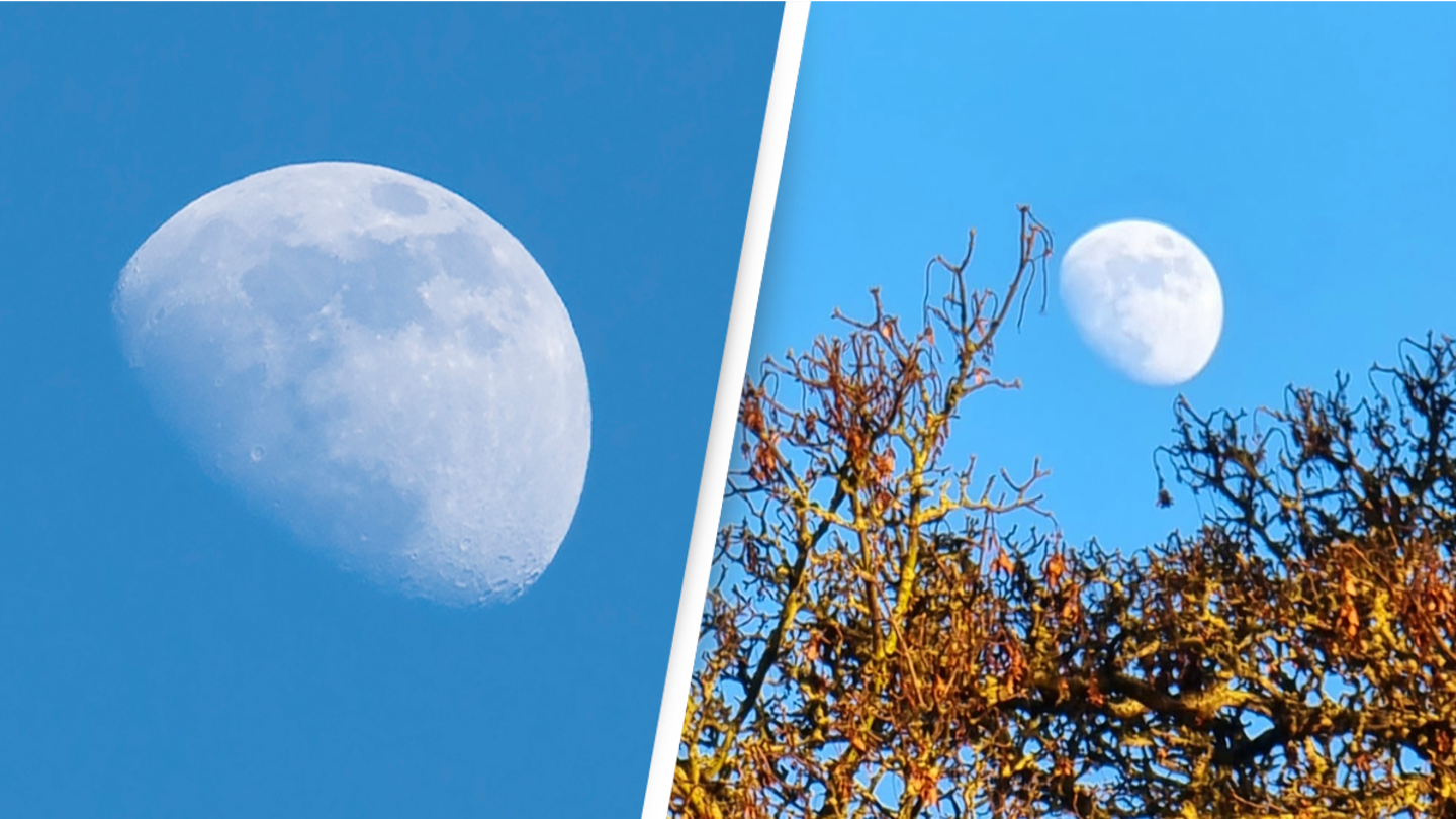 People are only just learning why you can sometimes see the Moon during the day
