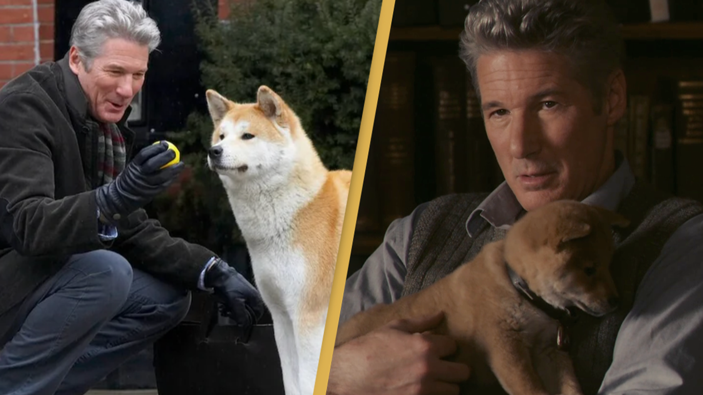 Film émouvant : Hachi, l’histoire incroyable d’une fidélité sans limite