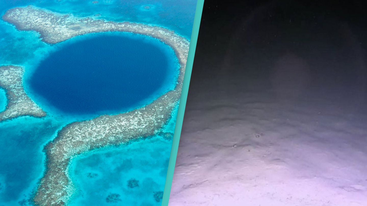Divers reveal a disturbing discovery after finally getting to the bottom of the Great Blue Hole