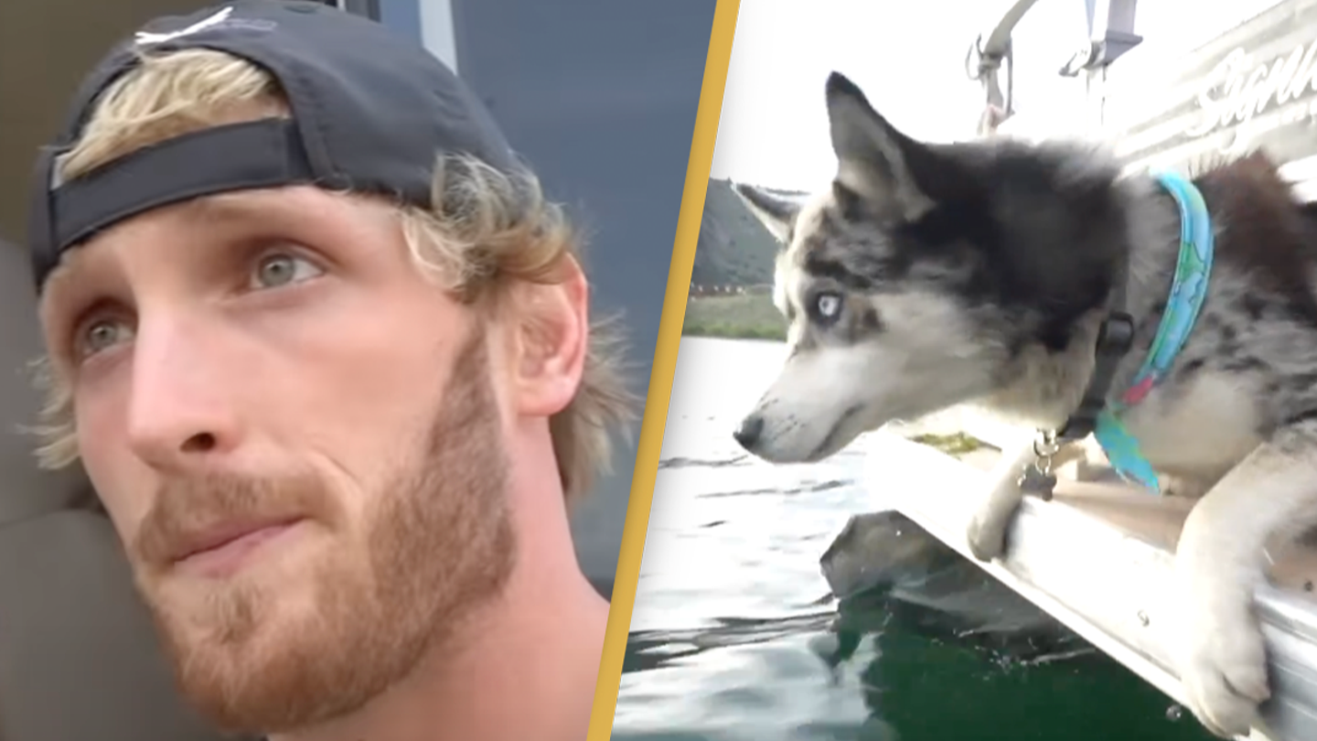 Logan Paul nie avoir tenté de tuer son chien : déclaration après la controverse