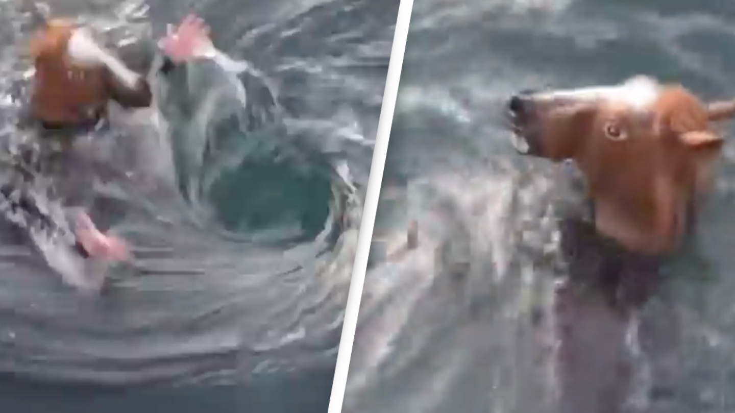 Chilling video shows the final moments of man before he was sucked into deadly whirlpool