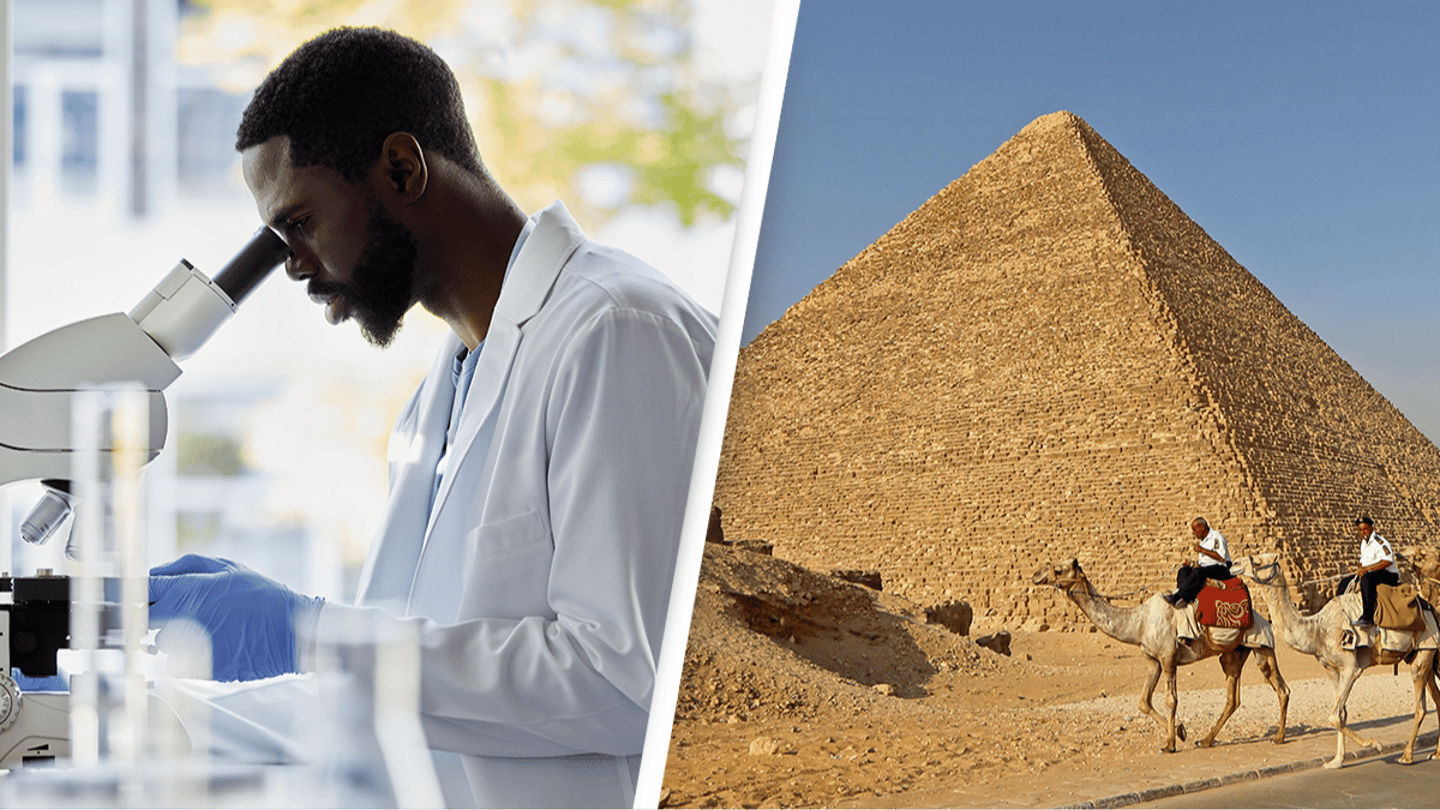 Scientists believe they have finally solved mystery of how Egyptian pyramids were built 4,000 years ago - Vimarsana News