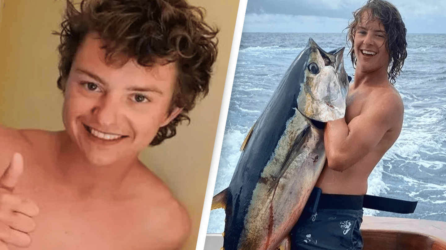Man who was mauled by sharks after falling into sea describes what it felt like - Vimarsana News