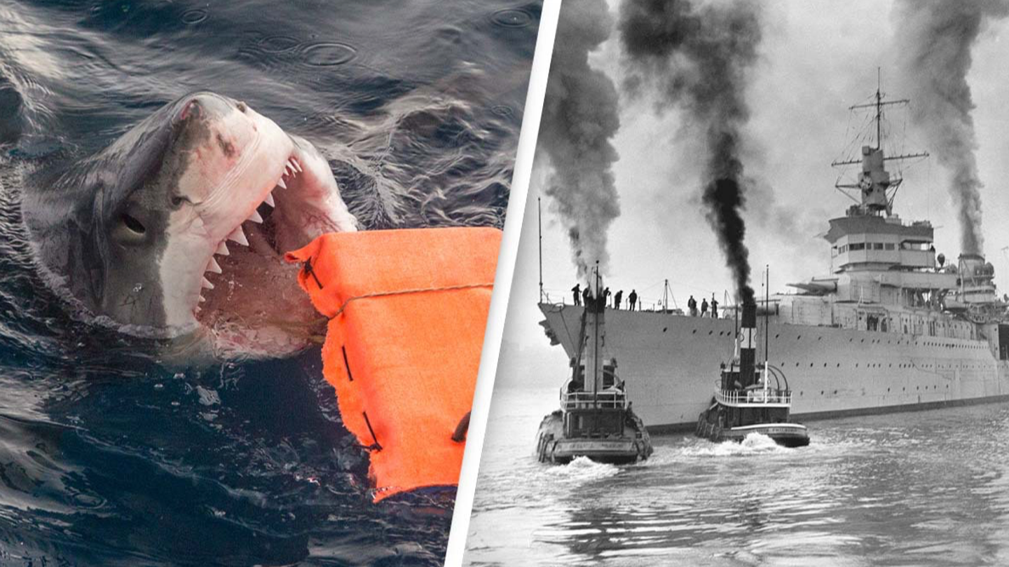 Most gruesome shark attack in history saw 150 sailors eaten one by one