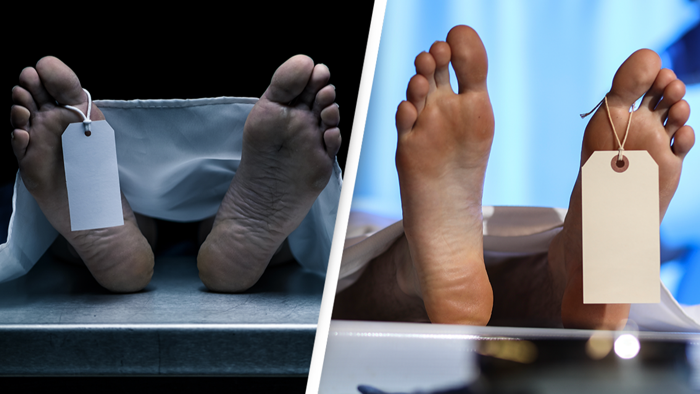Scientists reveal one thing that all dead bodies have in common