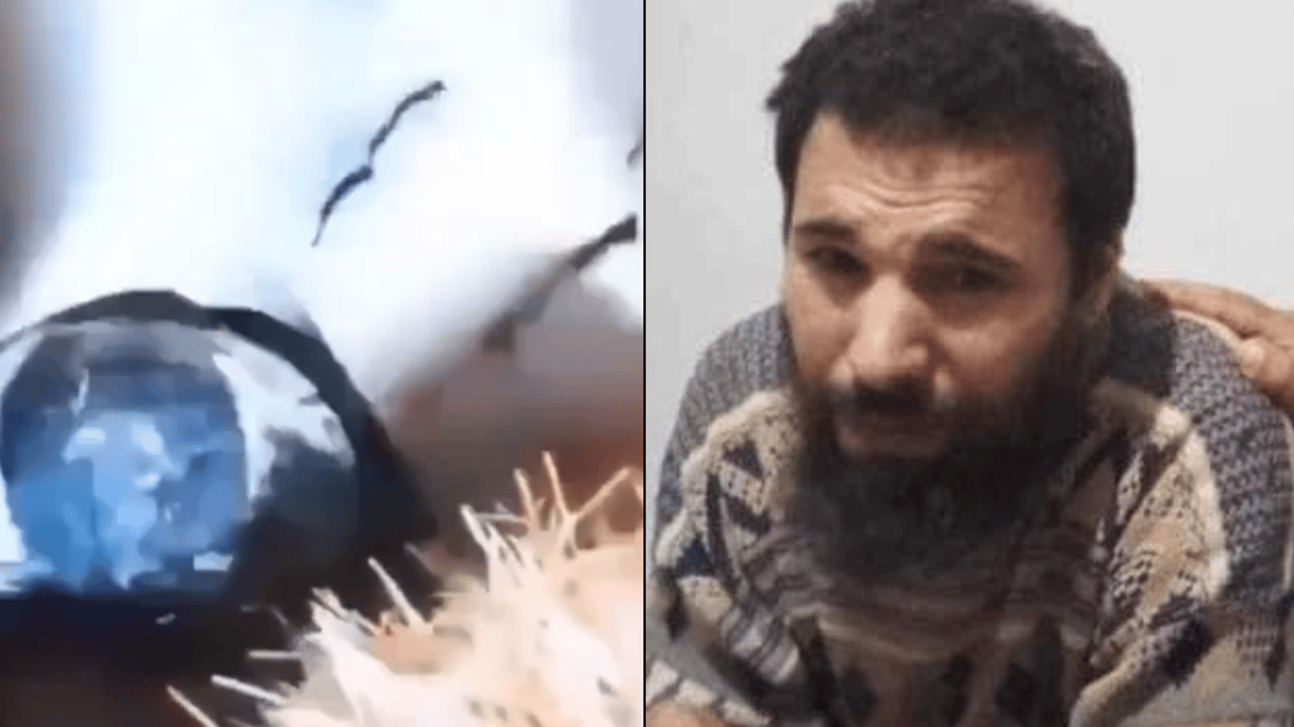 Video footage captures moment man who vanished nearly 30 years ago was found alive in neighbour's cellar - Vimarsana News
