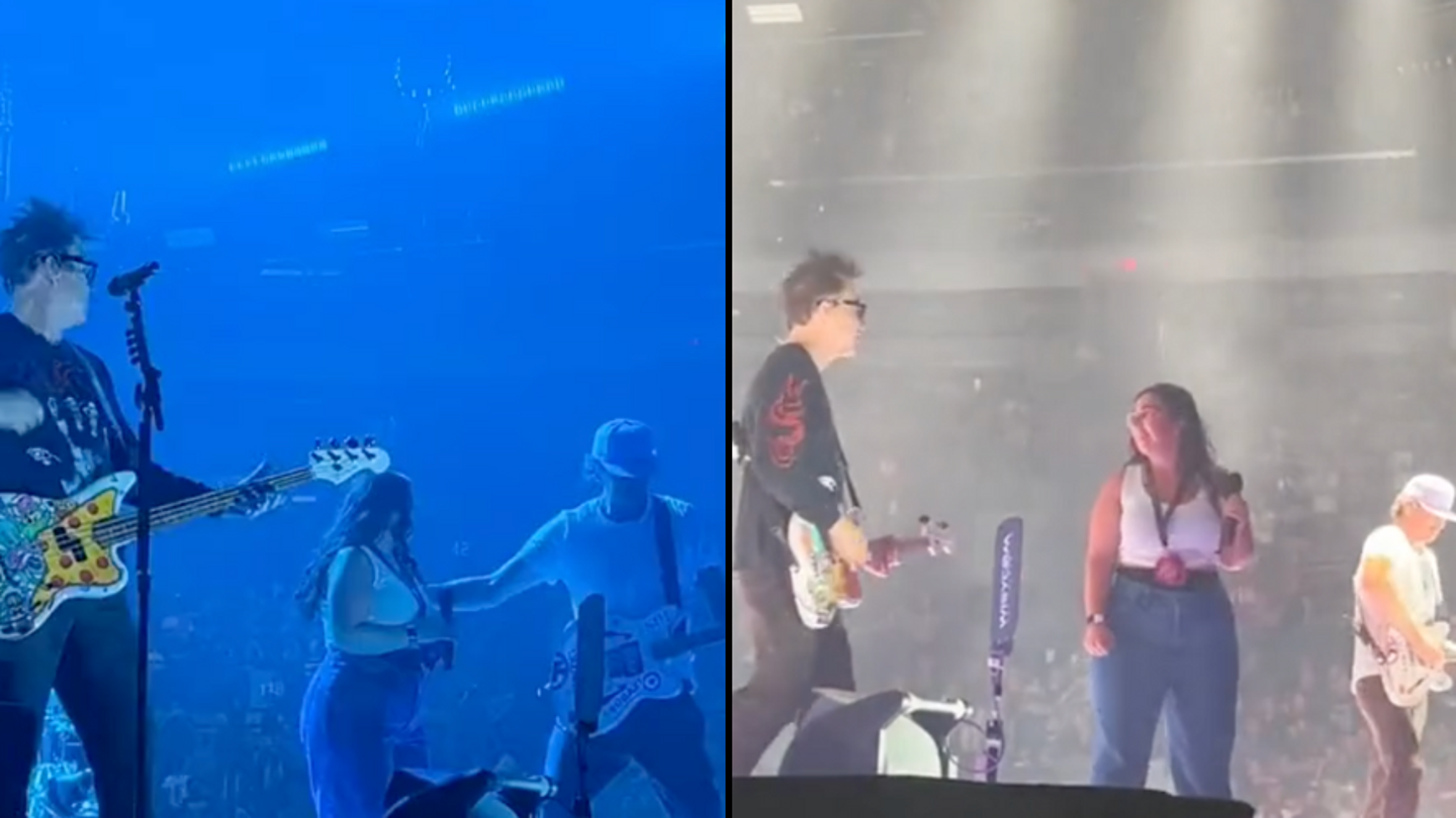 Fan gênant à un concert de Blink-182 : une erreur monumentale se produit
