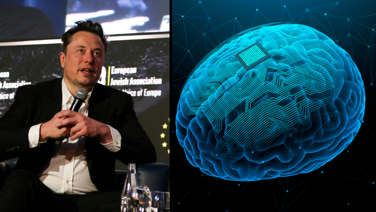 La puce cérébrale d’Elon Musk et sa concurrence féroce : l’avenir de la mobilité retrouvée