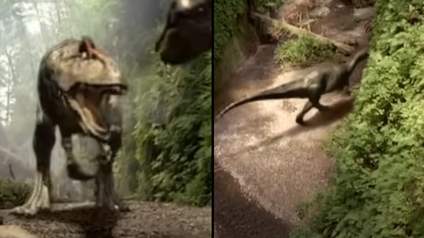 Le retour d’une série révolutionnaire des années 90 qui a changé la télévision