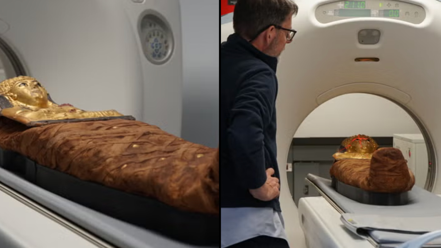 Révélation : le mystère du sarcophage de Lady Chenet-aa enfin élucidé grâce à des scans CT approfondis.