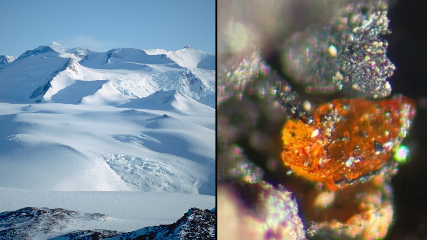 Antarctique : autrefois, un paysage gelé ?